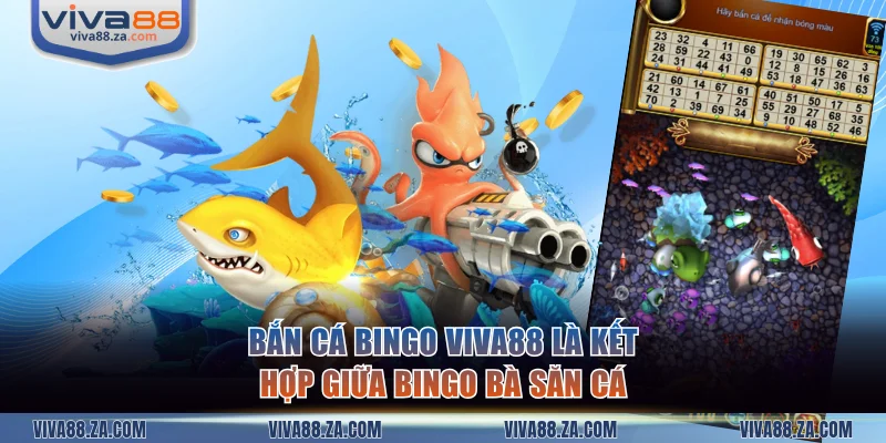 Bắn cá bingo VIVA88 là kết hợp giữa bingo bà săn cá