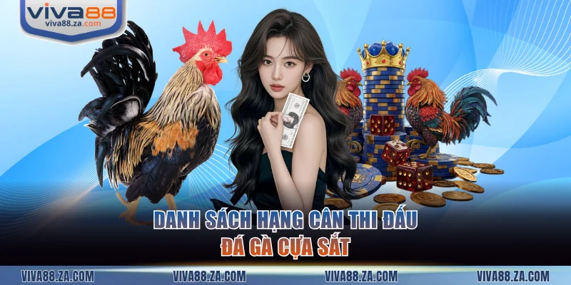 Các hạng cân tham gia chọi kê cựa sắt