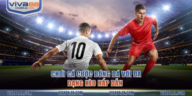 Chơi cá cược bóng đá với đa dạng kèo hấp dẫn 