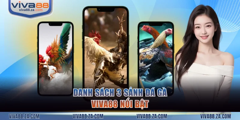Danh sách 3 sảnh đá gà VIVA88 nổi bật