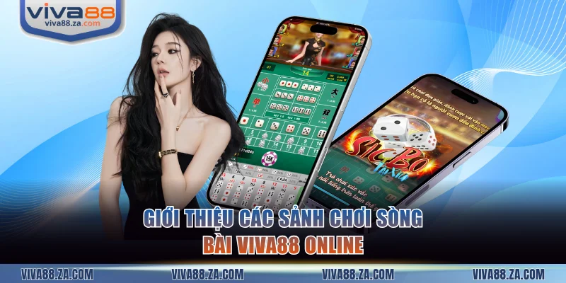 Giới thiệu các sảnh chơi sòng bài VIVA88 online