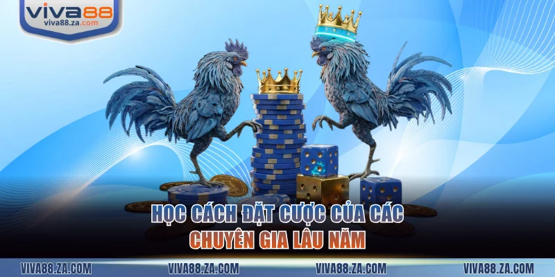 Học cách đặt cược của các chuyên gia lâu năm