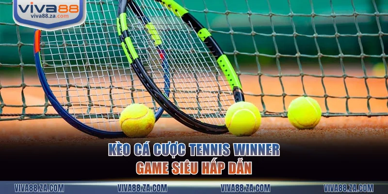 Kèo cá cược tennis Winner Game siêu hấp dẫn