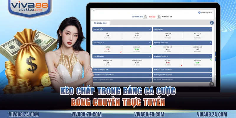 Kèo chấp trong bảng cá cược bóng chuyền trực tuyến