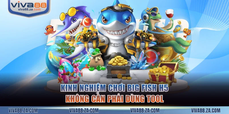 Kinh nghiệm chơi Big Fish H5 không cần phải dùng tool