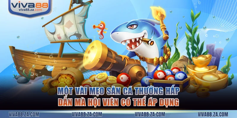 Một vài mẹo săn cá thưởng hấp dẫn mà hội viên có thể áp dụng