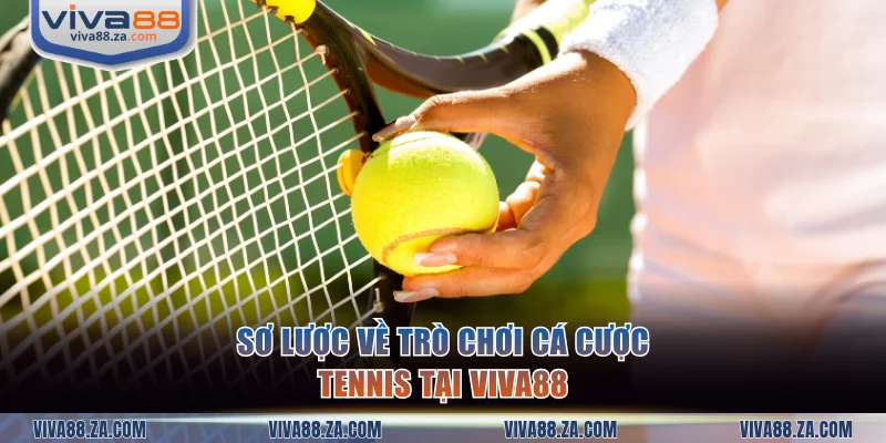 Sơ lược về trò chơi cá cược tennis tại VIVA88