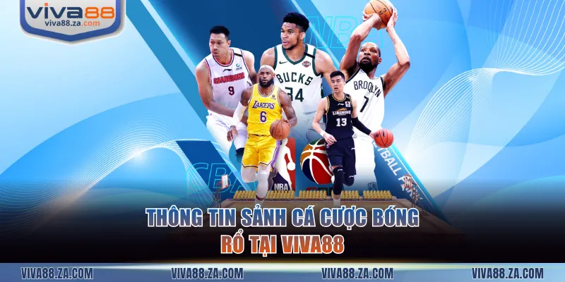 Thông tin sảnh cá cược bóng rổ tại VIVA88