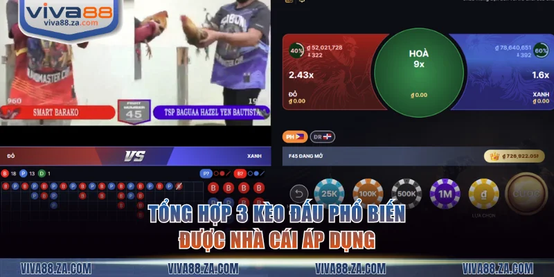 Tổng hợp 3 kèo đấu phổ biến được nhà cái áp dụng
