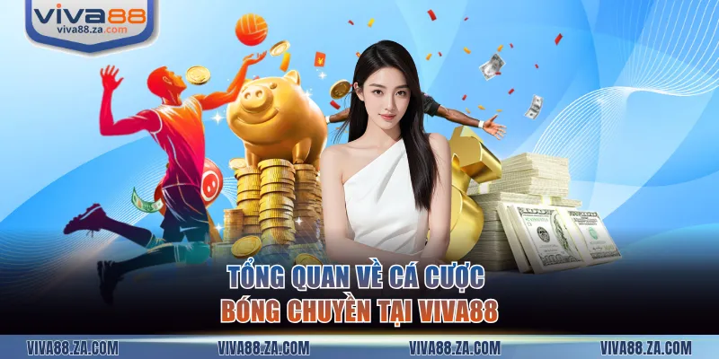 Tổng quan về cá cược bóng chuyền tại VIVA88