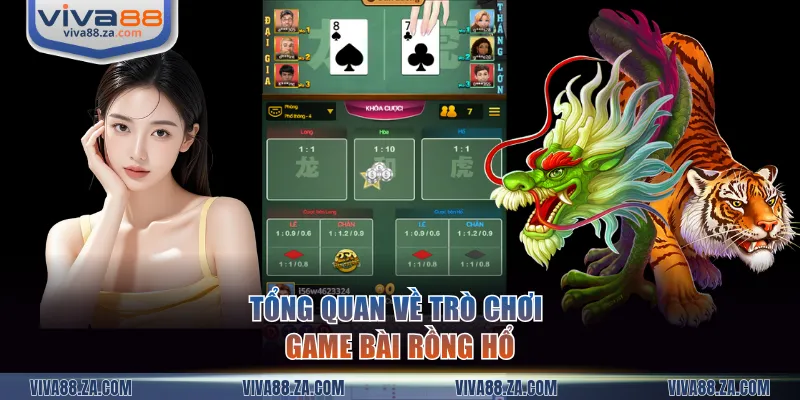 Tổng quan về trò chơi game bài Rồng Hổ